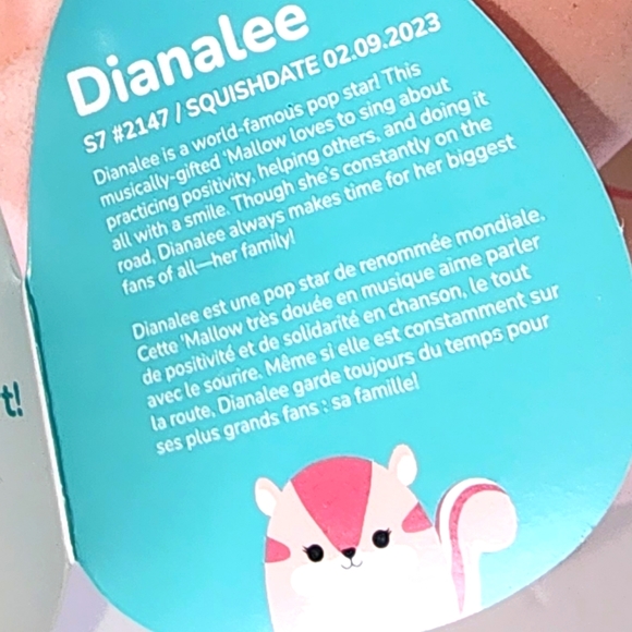 DIANELEE 🐿 FTM ☆ Pink Chipmunk Original Squishmallow by Kelly Toy ☆ NWT ☆ - Picture 4 of 7